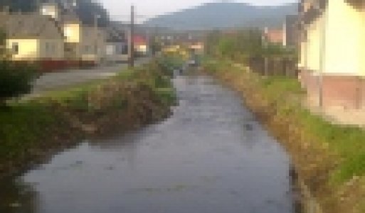 Čistenie vodohospodársky významného toku Svinka 