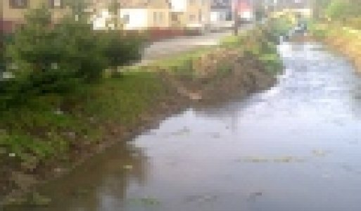 Čistenie vodohospodársky významného toku Svinka 