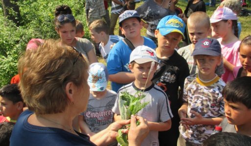 Spoznávanie byliniek v spolupráci so ZŠ vo Fričovciach