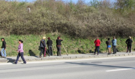 Komunitná aktivita - Zelená pre čistý domov