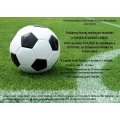 Futbalový turnaj o pohár starostu obce Fričovce 15.9.2023